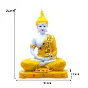 15.webp